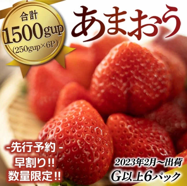 福岡県産 あまおうG以上 1500g